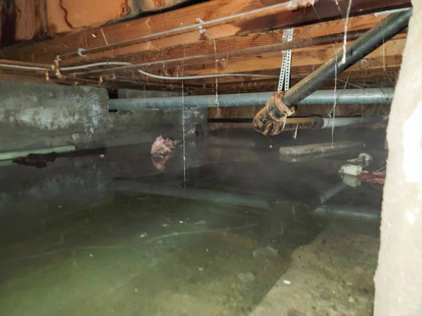 Carpet water damage restoration in OH