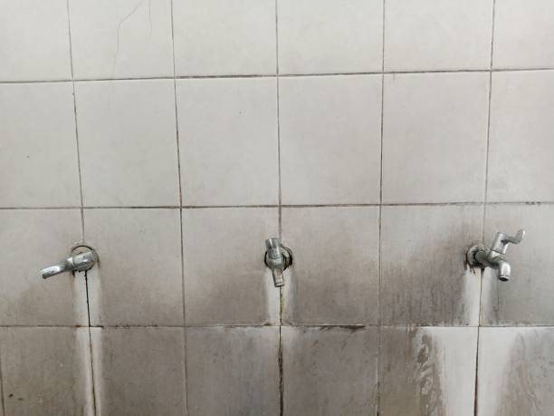 Best Local water damage restoration  in Findlay, OH