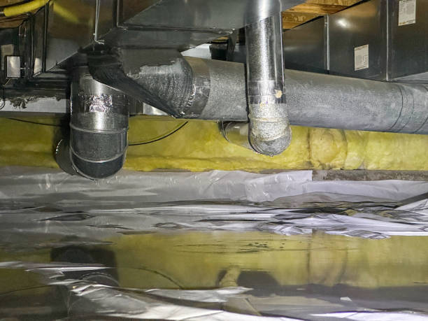 Best Professional water damage repair  in Findlay, OH